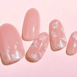 Lottie X KimKim Stay Press'd- Glazed And Unfazed 22 Lottie X KimKim Stay Press'd- Glazed And Unfazed -Costetic Make-up Store LKN001 Lottie x KimKim Stay Pressd Glazed and Unfazed Creative 3