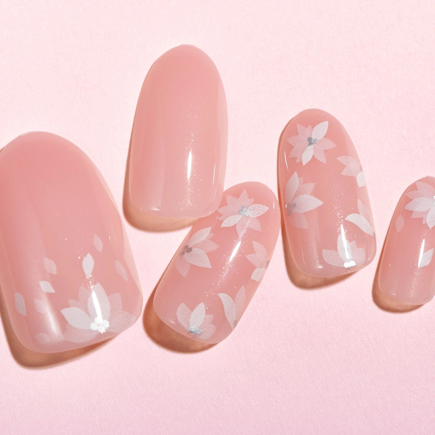 Lottie X KimKim Stay Press'd- Glazed And Unfazed 10 Lottie X KimKim Stay Press'd- Glazed And Unfazed - Image 8