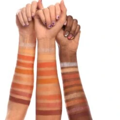 Lottie Palette - Fired Up 14 Lottie Palette - Fired Up -Costetic Make-up Store MicrosoftTeams image 27