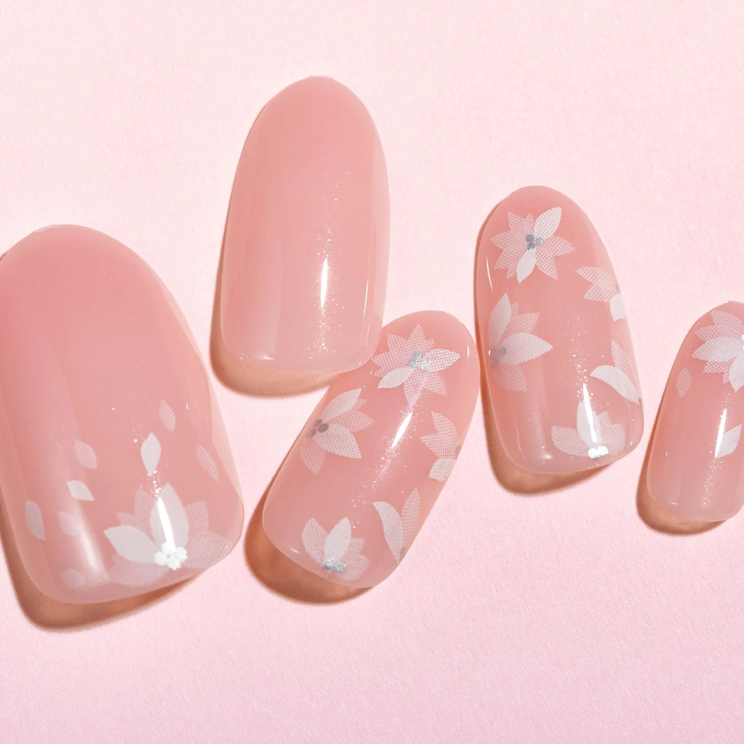 Costetic Make-up Store 40 Costetic Make-up Store -Costetic Make-up Store LKN001 Lottie x KimKim Stay Pressd Glazed and Unfazed Creative 3